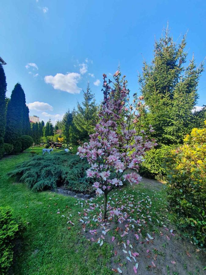 Hotel Дом Для Души С Бассейном Целиком Vinnycja Esterno foto